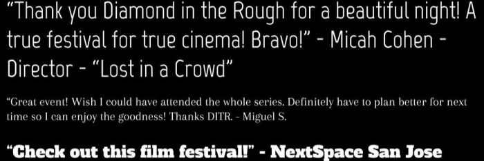 diamond in the rough2.jpg