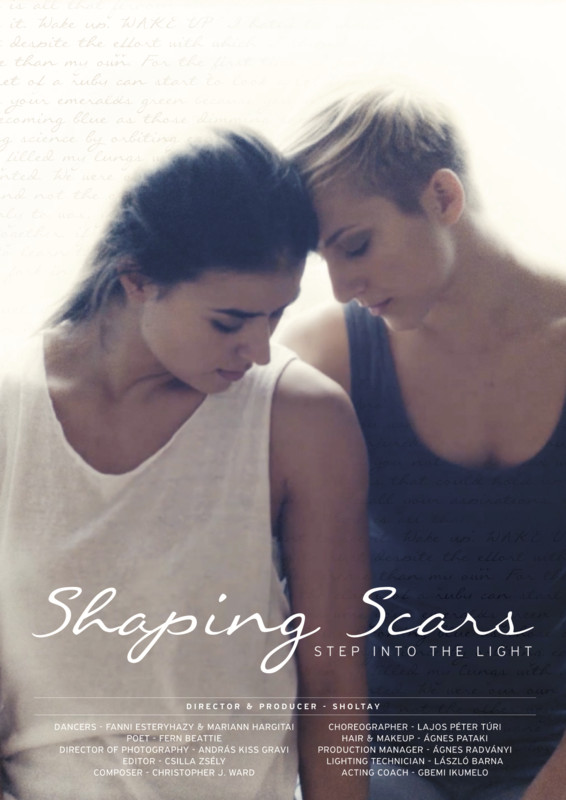 shaping_scars_movie_poster.jpg
