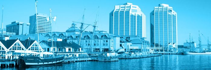 Bluenose-Ability Film Festival2.jpg