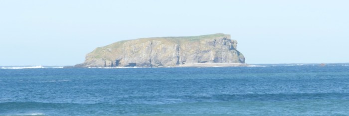 Disappear Here Film Festival2.jpg