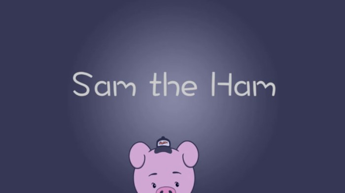sam_the_ham.jpg